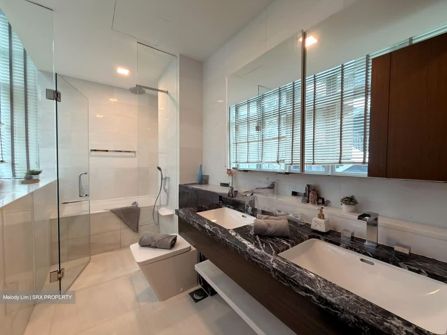 RESIDENCES AT EMERALD HILL (D9), Apartment #579291221